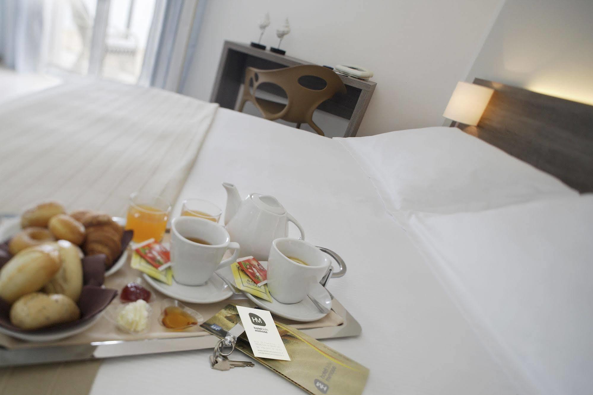Delle Mimose Hotel
