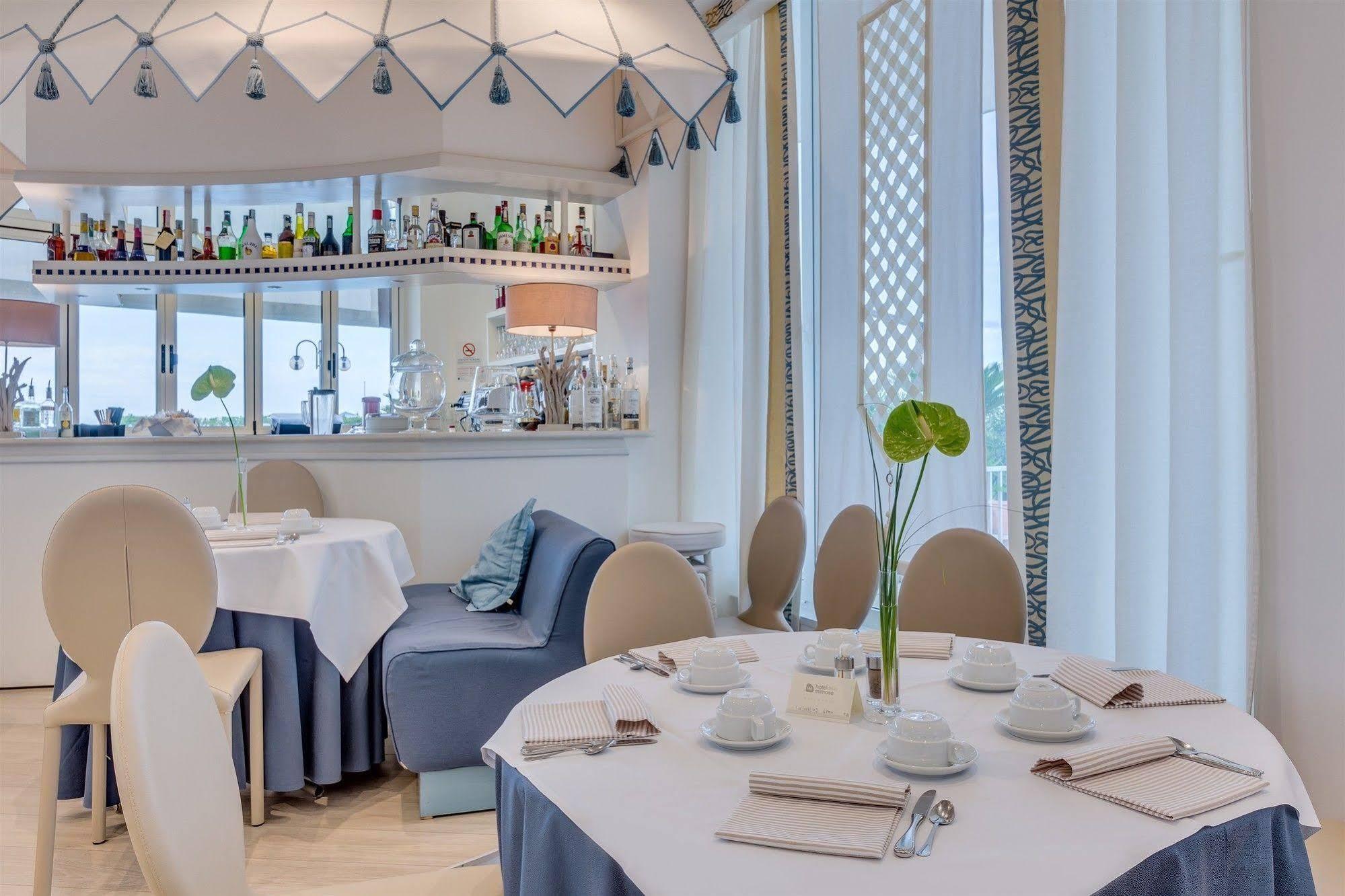 Delle Mimose Hotel Lido di Jesolo